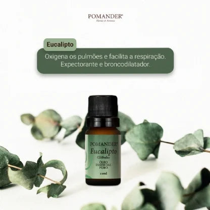 Pomander Óleo Essencial Eucalipto 10ml