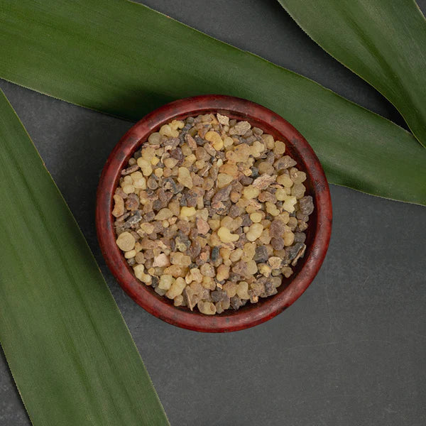 Olíbano Sagrado do Egito Resina 25g