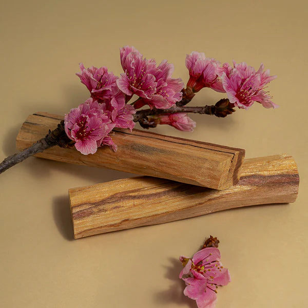 Palo Santo Incenso Natural Peruano em Lascas 1un