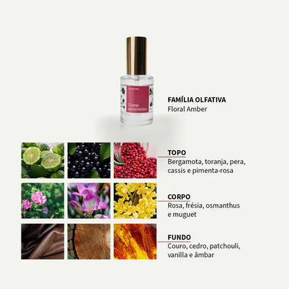 COLEÇÃO FLORES POÉTICAS | Um jardim de emoções - 3 X 10 ML | Um perfume para cada momento