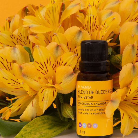 Blend de Óleos Bem Estar 15ml