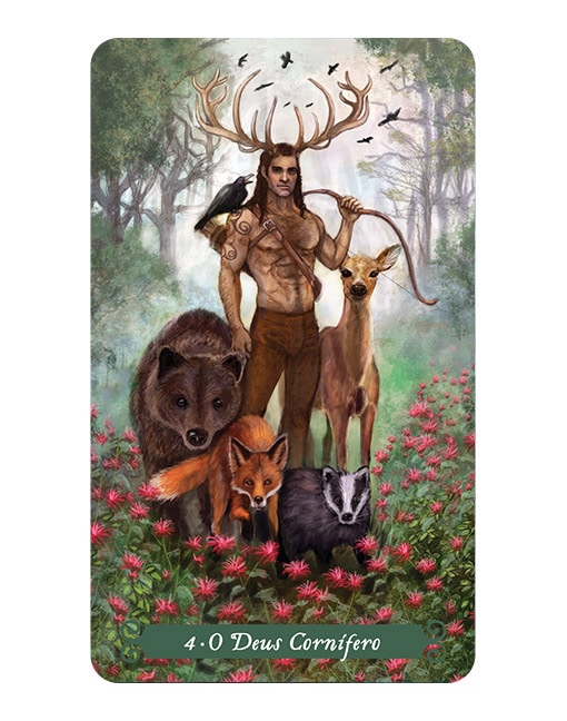 O Tarot da Bruxa Verde – Ann Moura